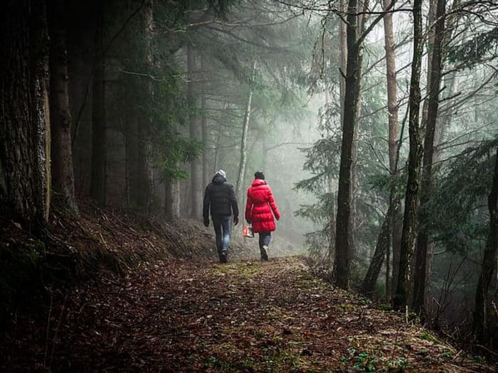 Puente de diciembre en San Martín de Valdeiglesias - Hacienda La Coracera - Restaurante 7 Capillas