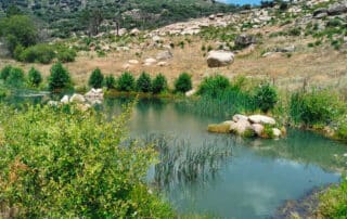 Humedal de La Alberca en Cenicientos - Hacienda La Coracera