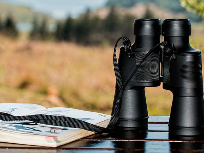 Rutas ornitológicas en vías pecuarias cerca de San Martín de Valdeiglesias - Hacienda La Coracera