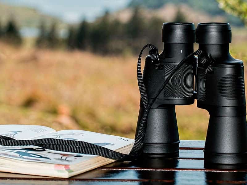 Rutas ornitológicas en vías pecuarias cerca de San Martín de Valdeiglesias - Hacienda La Coracera