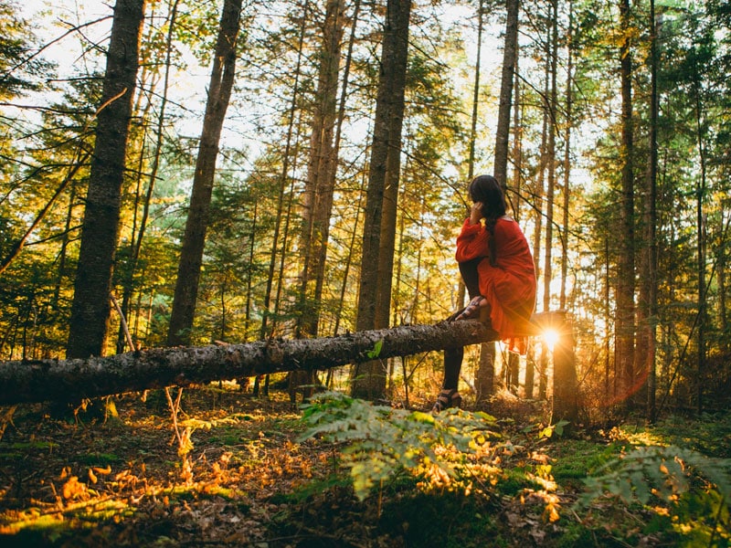 Turismo sostenible en la Sierra Oeste de Madrid - Hacienda La Coracera