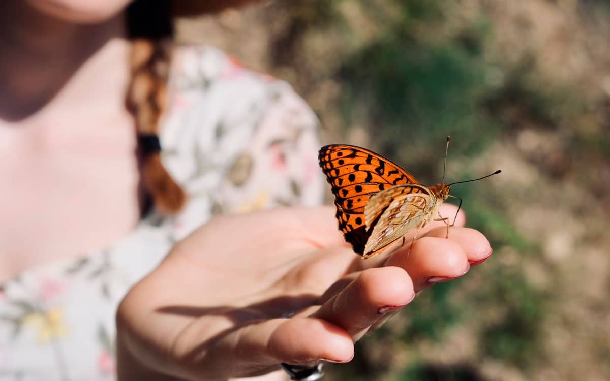 El legado de tu viaje en San Martín de Valdeiglesias - Hacienda La Coracera
