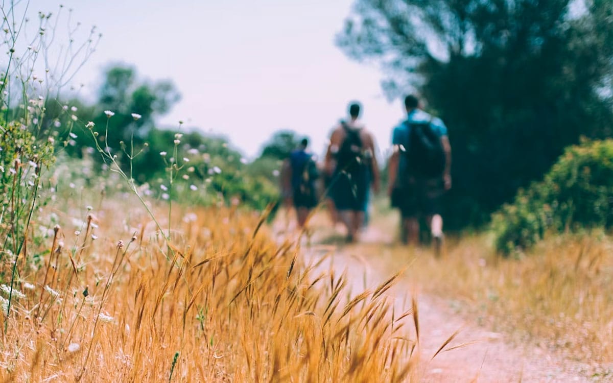 Vía Verde en la Sierra Oeste de Madrid - Hacienda La Coracera