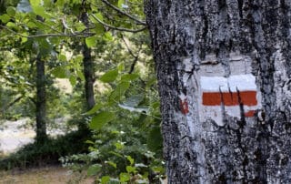 Pozo de la Nieve desde San Martín de Valdeiglesias - Hacienda La Coracera