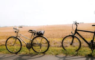 TransCam, naturaleza y aventura en San Martín de Valdeiglesias- Hacienda La Coracera