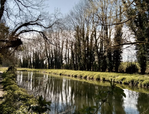 Rutas de agua en la Sierra Oeste de Madrid