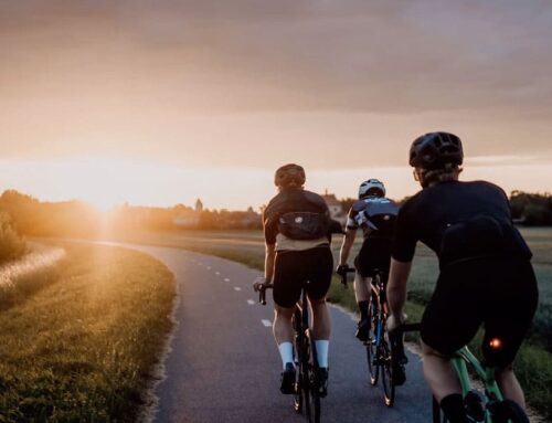 Marcha Gravel Ruta del Vino: alojamiento y gastronomía